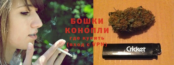 хмурый Липки