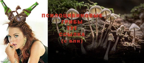 прущие крисы Лихославль
